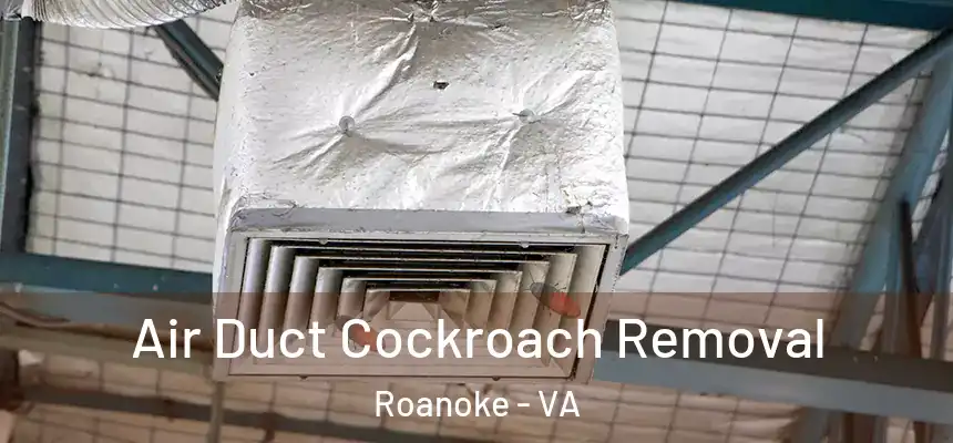 Air Duct Cockroach Removal Roanoke - VA