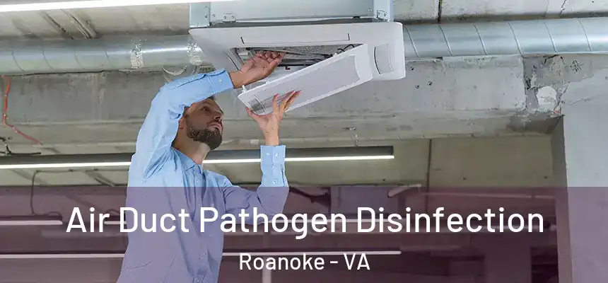 Air Duct Pathogen Disinfection Roanoke - VA