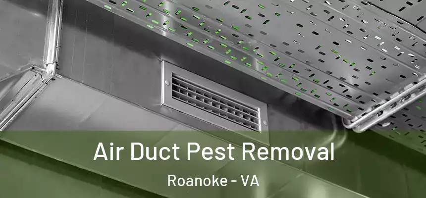 Air Duct Pest Removal Roanoke - VA