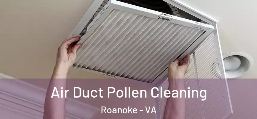 Air Duct Pollen Cleaning Roanoke - VA