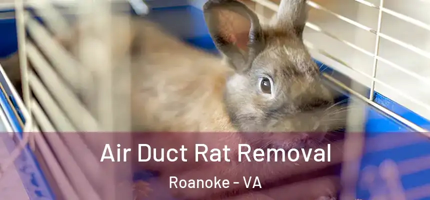Air Duct Rat Removal Roanoke - VA