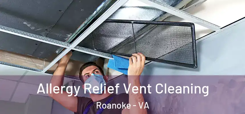 Allergy Relief Vent Cleaning Roanoke - VA