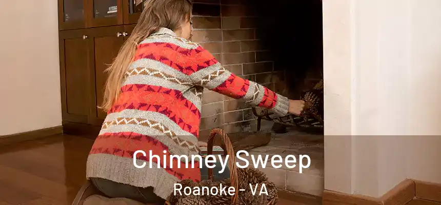 Chimney Sweep Roanoke - VA