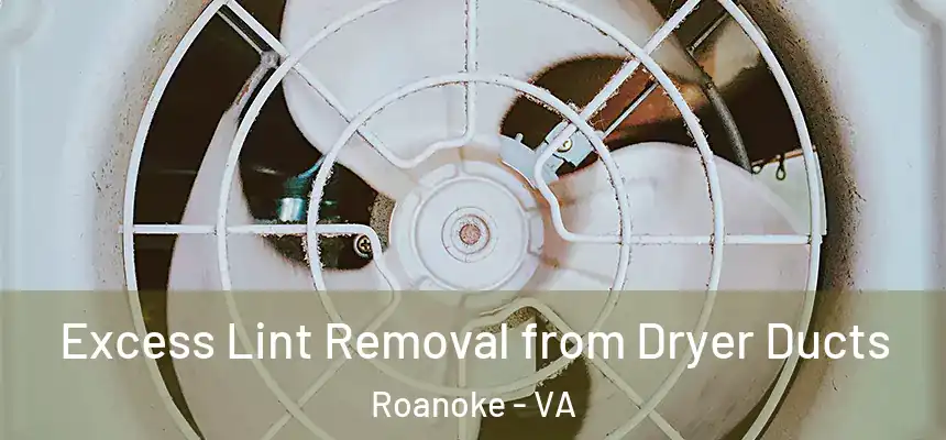 Excess Lint Removal from Dryer Ducts Roanoke - VA