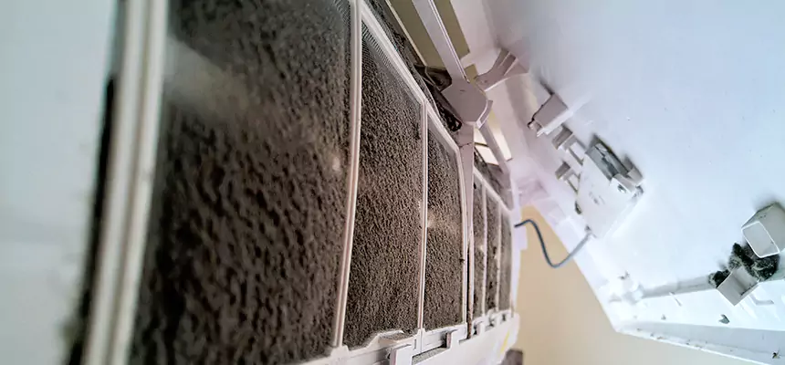 Preventive Air Duct Bacteria Removal in Roanoke