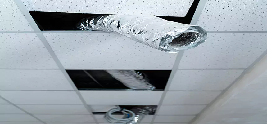 Affordable HVAC Sanitizing After Pest Removal in Roanoke