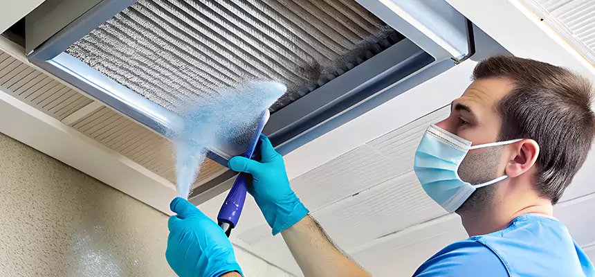 Proactive Dryer Vent & Auxiliary Duct Pollen Cleanup in Roanoke, VA