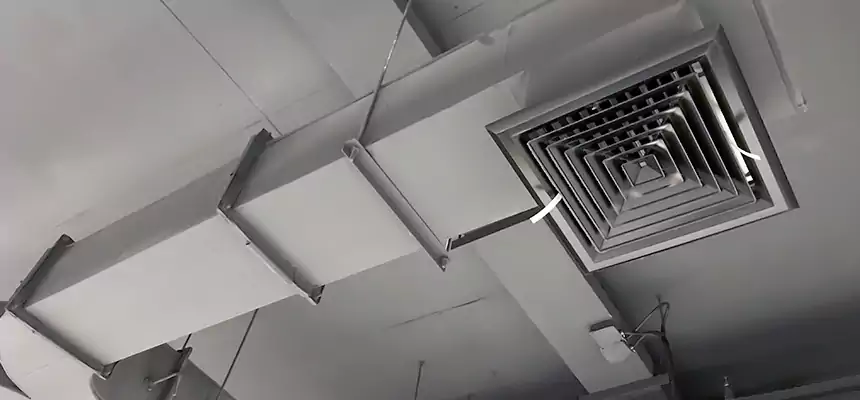 Restorative Allergy Relief Vent Cleaning – Coil, Blower & Housing Detail in Roanoke