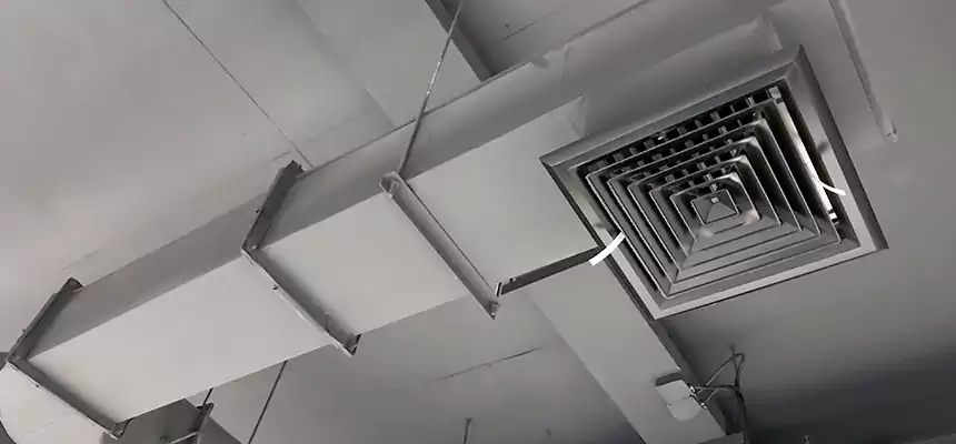 Our Pest Removal From Ducts Services in Roanoke, VA