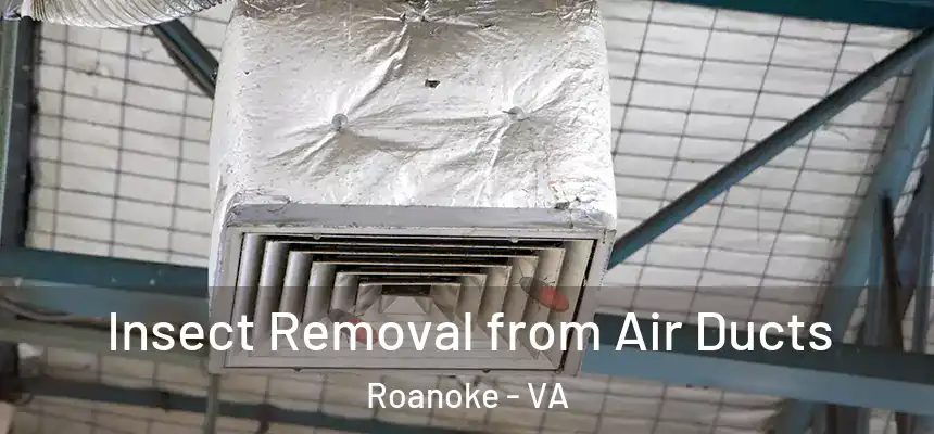 Insect Removal from Air Ducts Roanoke - VA