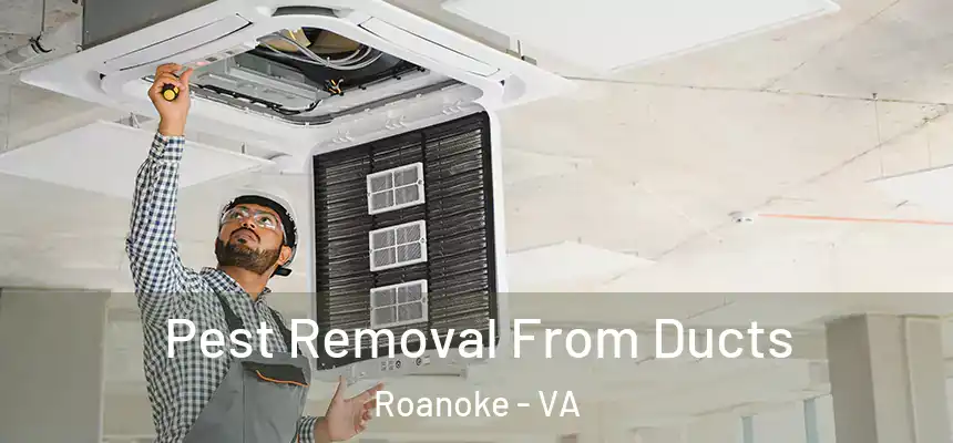 Pest Removal From Ducts Roanoke - VA