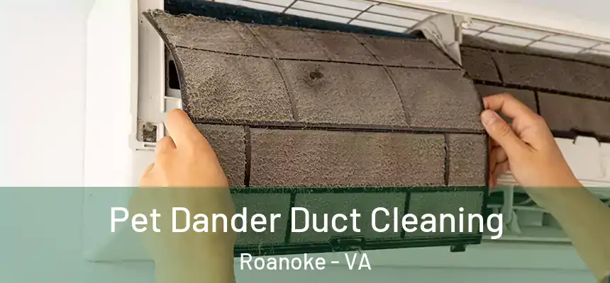 Pet Dander Duct Cleaning Roanoke - VA