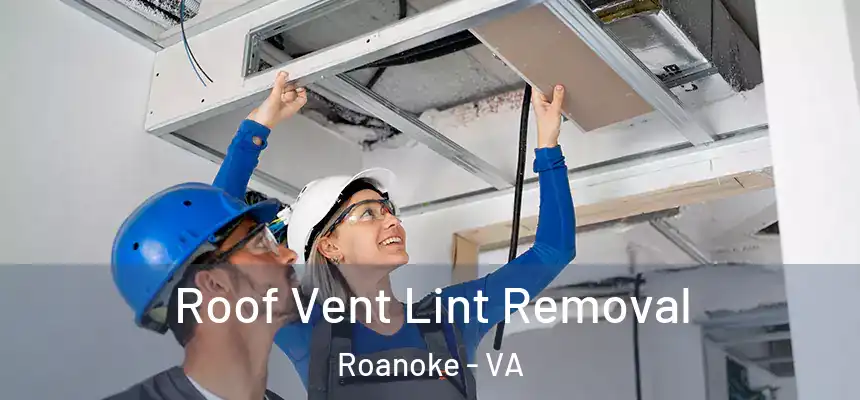 Roof Vent Lint Removal Roanoke - VA