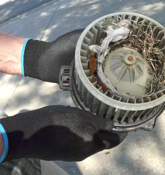 About Air Duct Rat Removal in Roanoke, VA