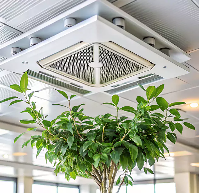 Why Homeowners & Businesses Trust Us in Roanoke, VA?