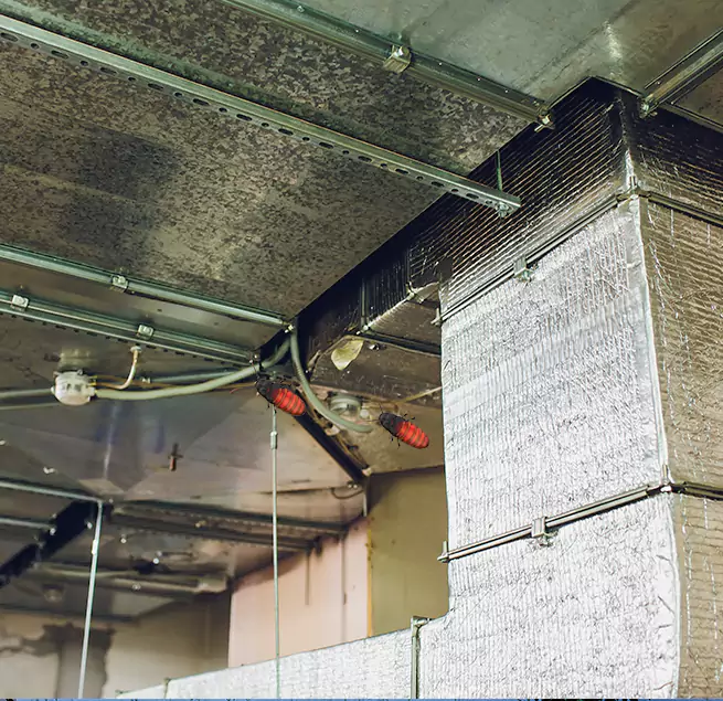 Why Homeowners & Businesses Trust Us Roanoke, VA?