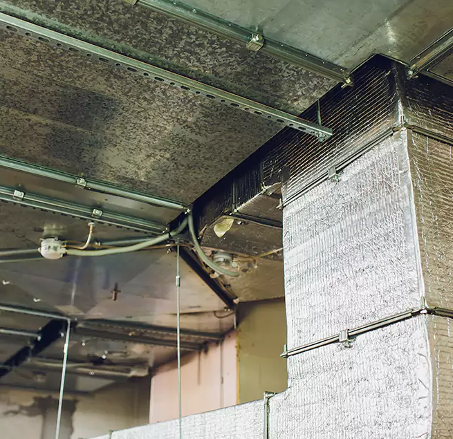 Why Homeowners & Businesses Trust Us in Roanoke, VA?